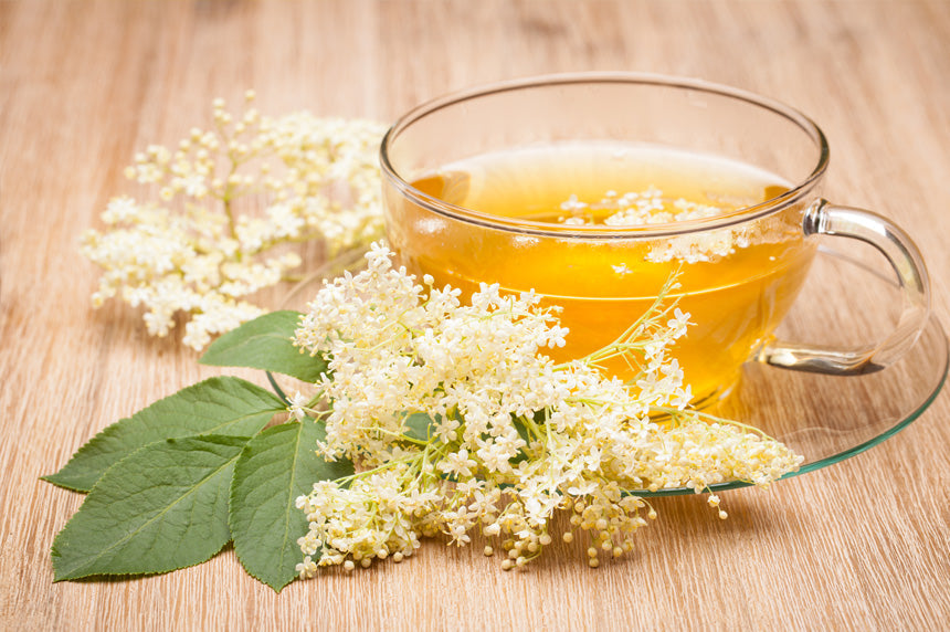 Terapias naturais para prevenir e tratar a gripe