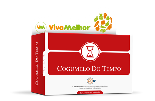 Cogumelo do Tempo