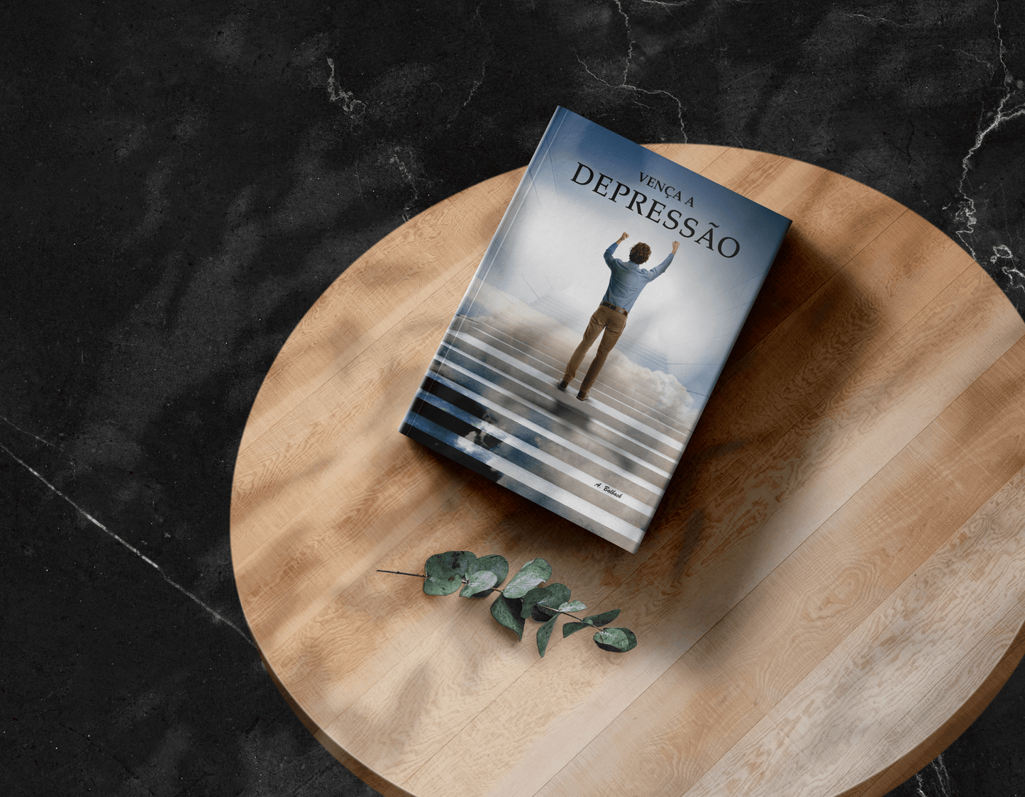 Livro Vença a Depressão